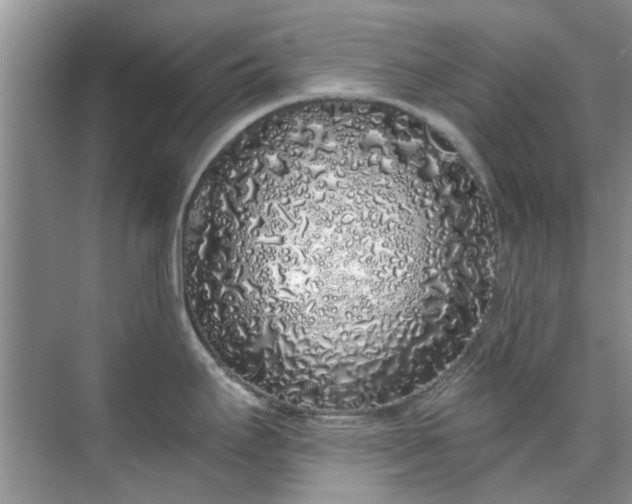 X0000071771295200607071252