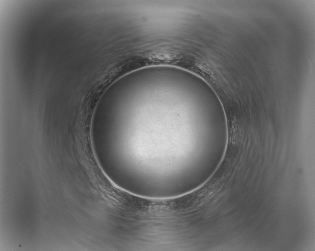 X0000071771297200607071251