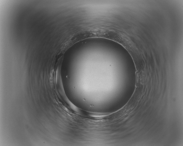 X0000071771298200607071251