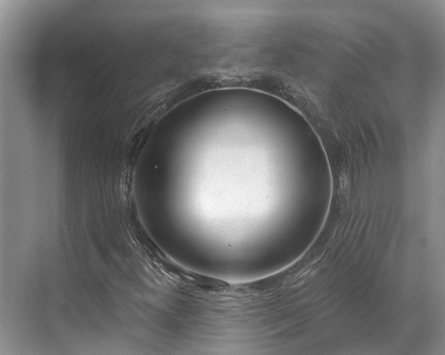 X0000071771300200607071251