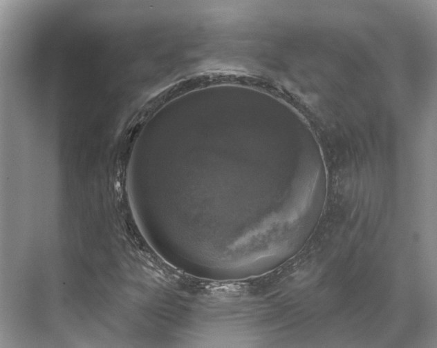 X0000071771303200607071251