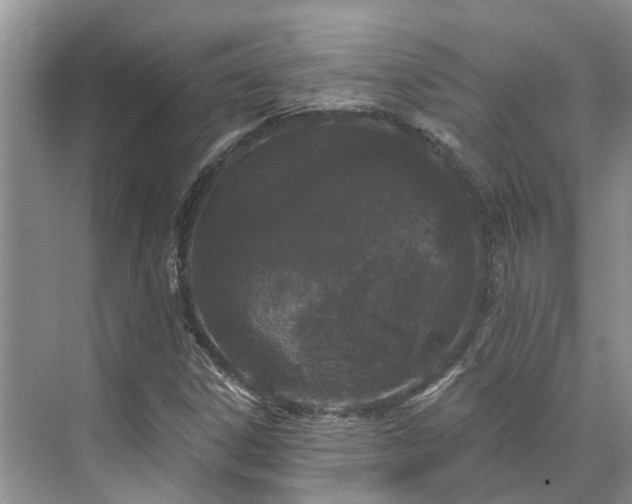 X0000071771306200607071251