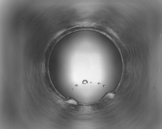 X0000071771315200607071251