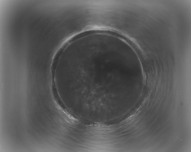 X0000071771319200607071251