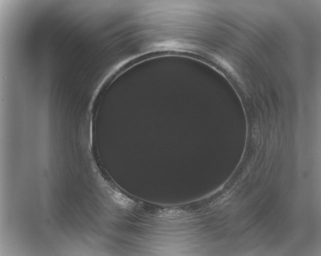 X0000071771323200607071251