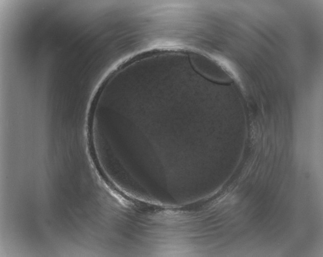 X0000071771327200607071251