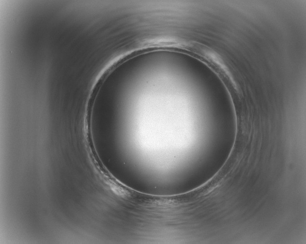 X0000071771328200607071251