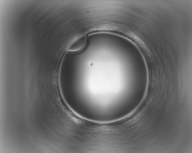 X0000071771329200607071252