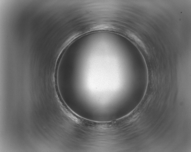 X0000071771330200607071252