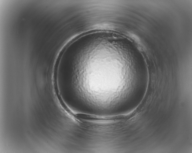 X0000071771331200607071252