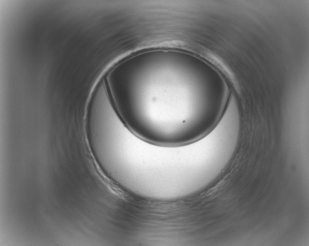 X0000071771332200607071252