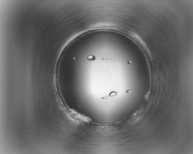 X0000071771336200607071252