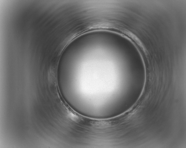 X0000071771337200607071252