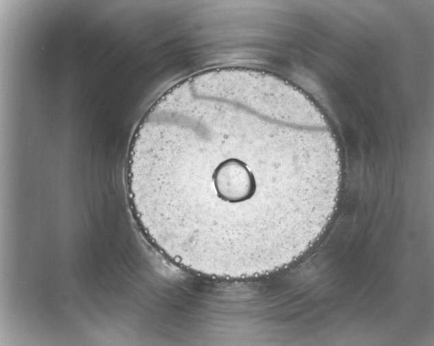 X0000071771338200607071252