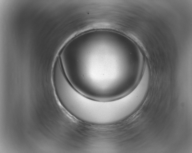 X0000071771342200607071252