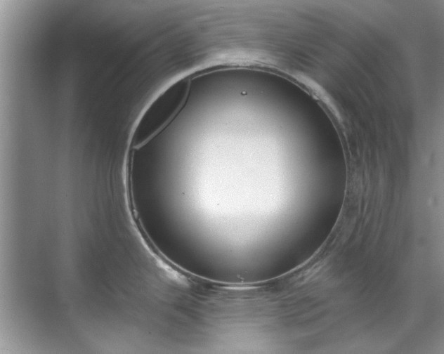 X0000071771343200607071252