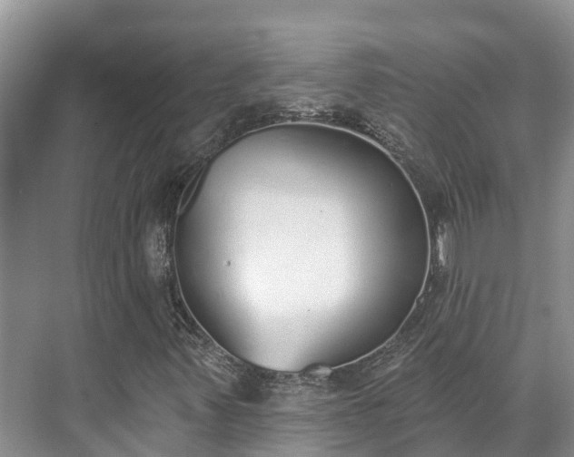 X0000071771347200607071251