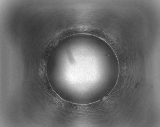 X0000071771349200607071251