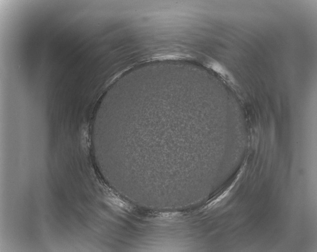 X0000071771353200607071251