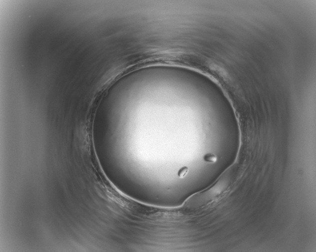 X0000071771354200607071251