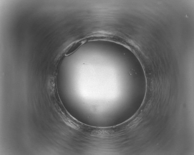 X0000071771355200607071251