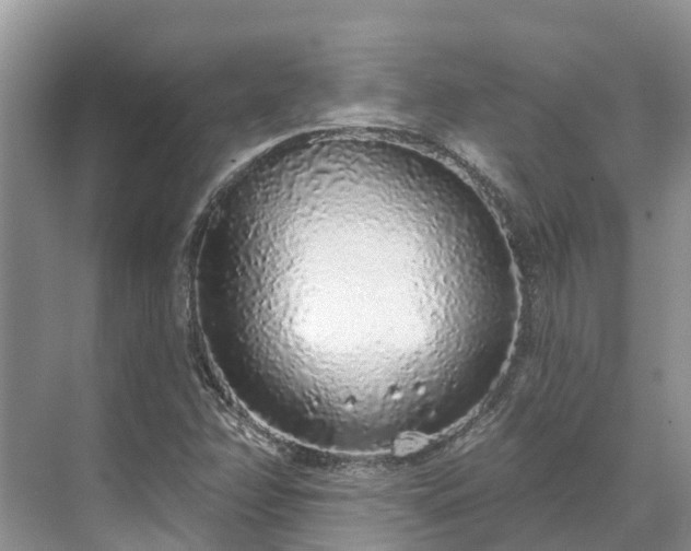 X0000071771358200607071251