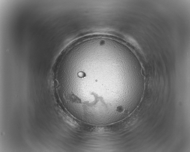 X0000071771360200607071251