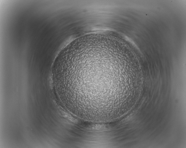 X0000071771362200607071251