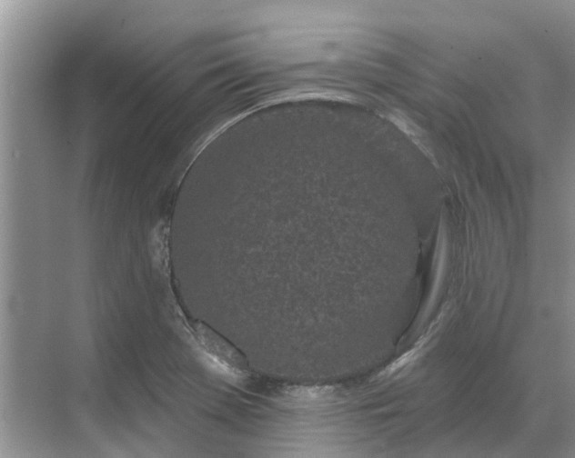 X0000071771369200607071251