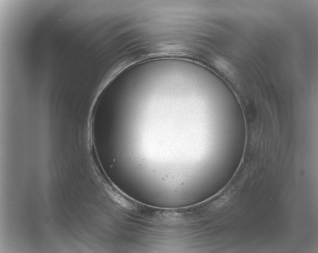 X0000071771370200607071251