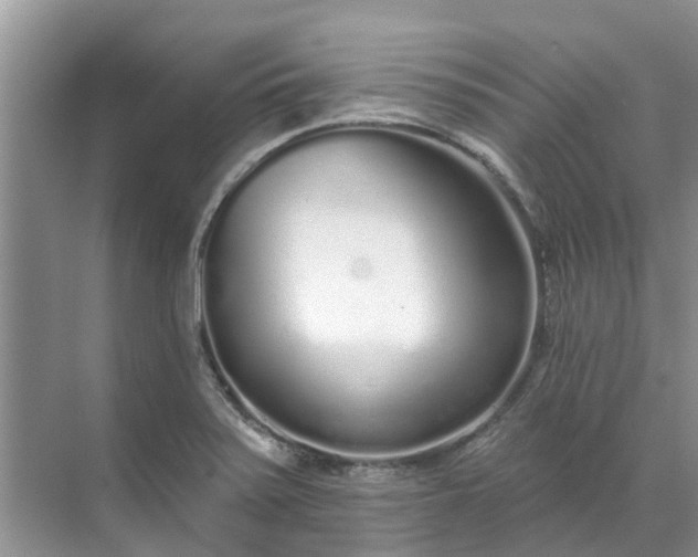 X0000071771371200607071251