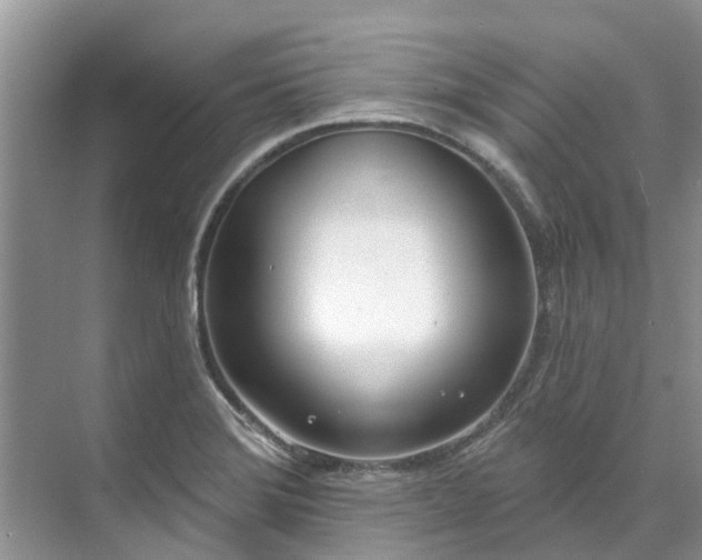 X0000071771372200607071251