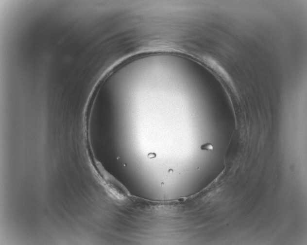 X0000071771380200607071250