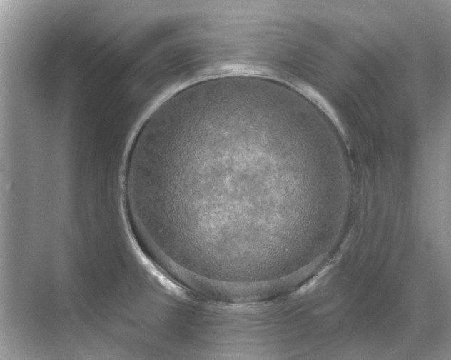 X0000071771381200607071250