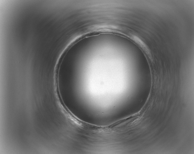 X0000071771384200607071250