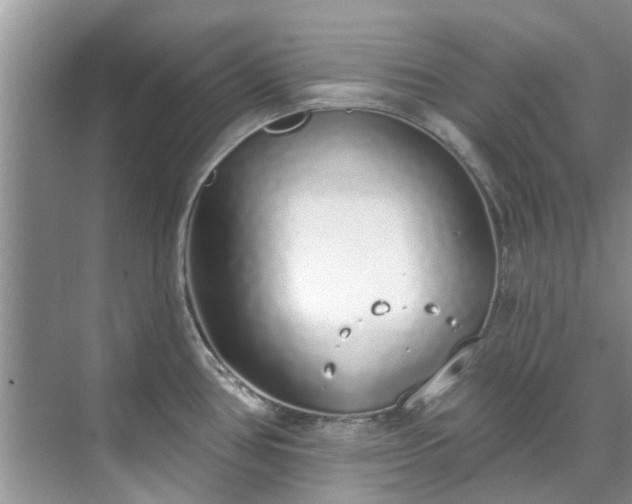 X0000071771386200607071250