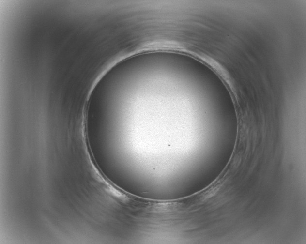 X0000071771390200607071250