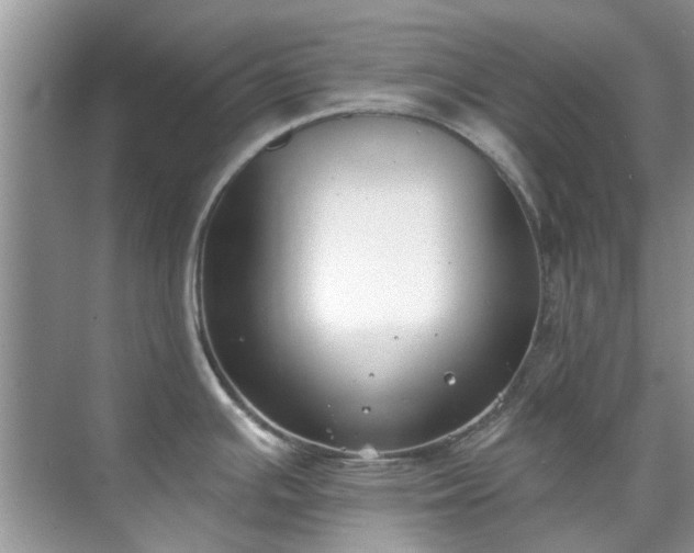 X0000071771391200607071250