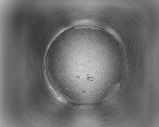 X0000071771392200607071250