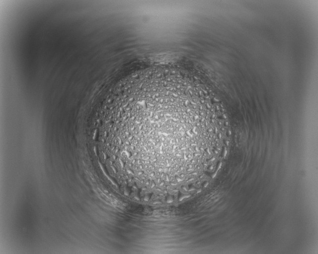 X0000071771393200607071249