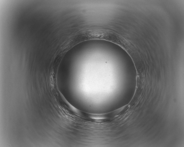 X0000071771394200607071249