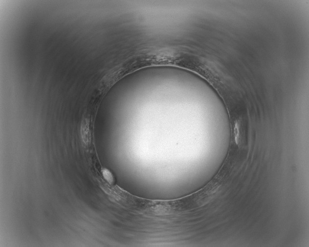 X0000071771395200607071249