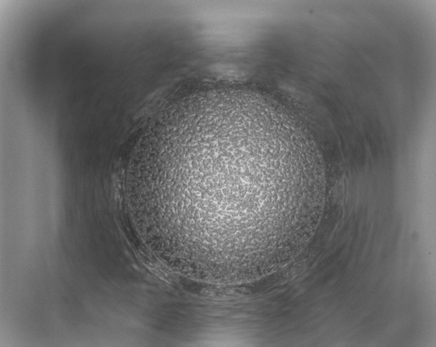 X0000071771397200607071249