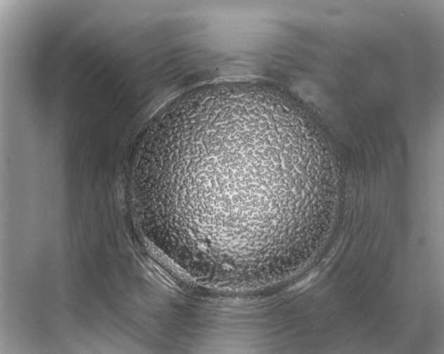 X0000071771401200607071250