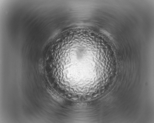 X0000071771403200607071250