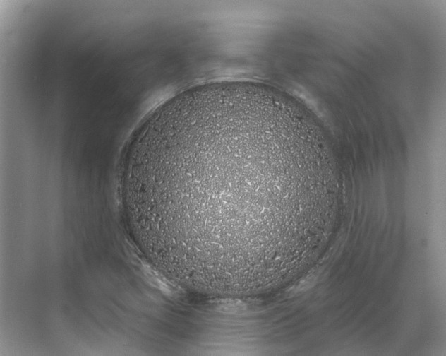 X0000071771405200607071250