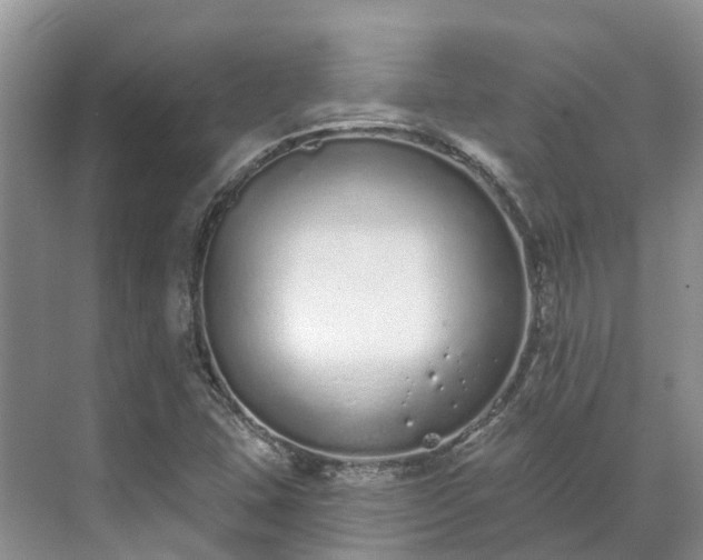 X0000071771407200607071250