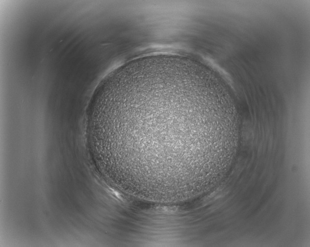 X0000071771411200607071250