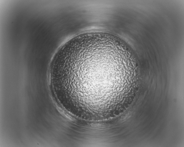 X0000071771413200607071250