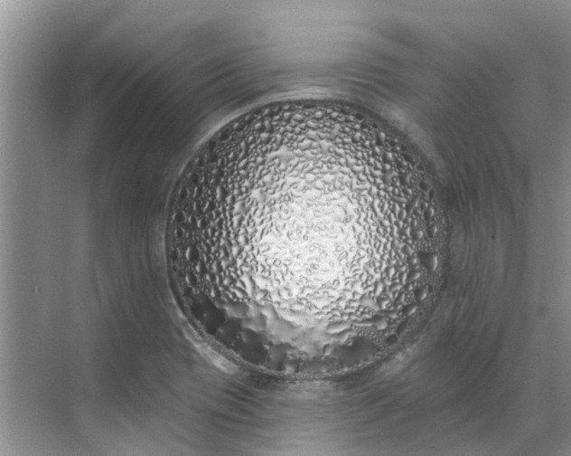 X0000071771417200607071250